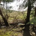Wandervogel * Braunlage