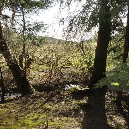 Wandervogel * Braunlage