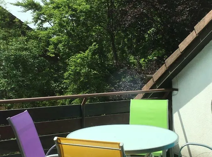 Wandervogel Braunlage